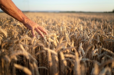 Coltiviamo il rispetto per il nostro Pianeta